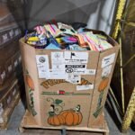 CVS Summer Goods Liquidation Pallet