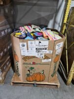 CVS Summer Goods Liquidation Pallet