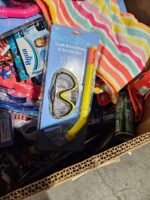 CVS Summer Goods Liquidation Pallet - Image 2