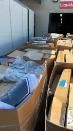 Amazon Bulk Liquidation Truckload